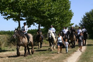 Groupe de trait Poitevin montés