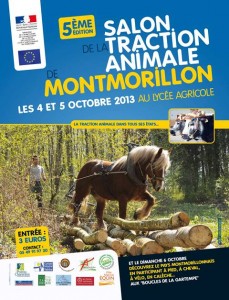 Montmorillon2013