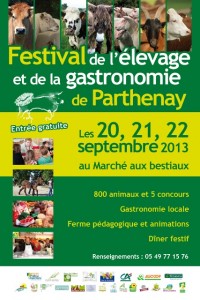 Parthenay2013