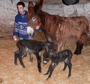 Photo : Charente Libre