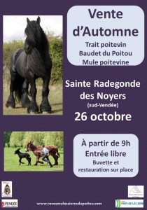 AffVenteAutomne13