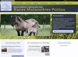 NouveauSite