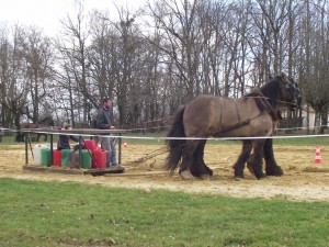 Entrainement à l'épreuve de traction