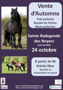 AffVenteAutomne15