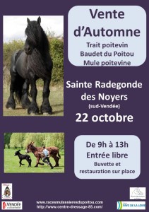 affventeautomne16