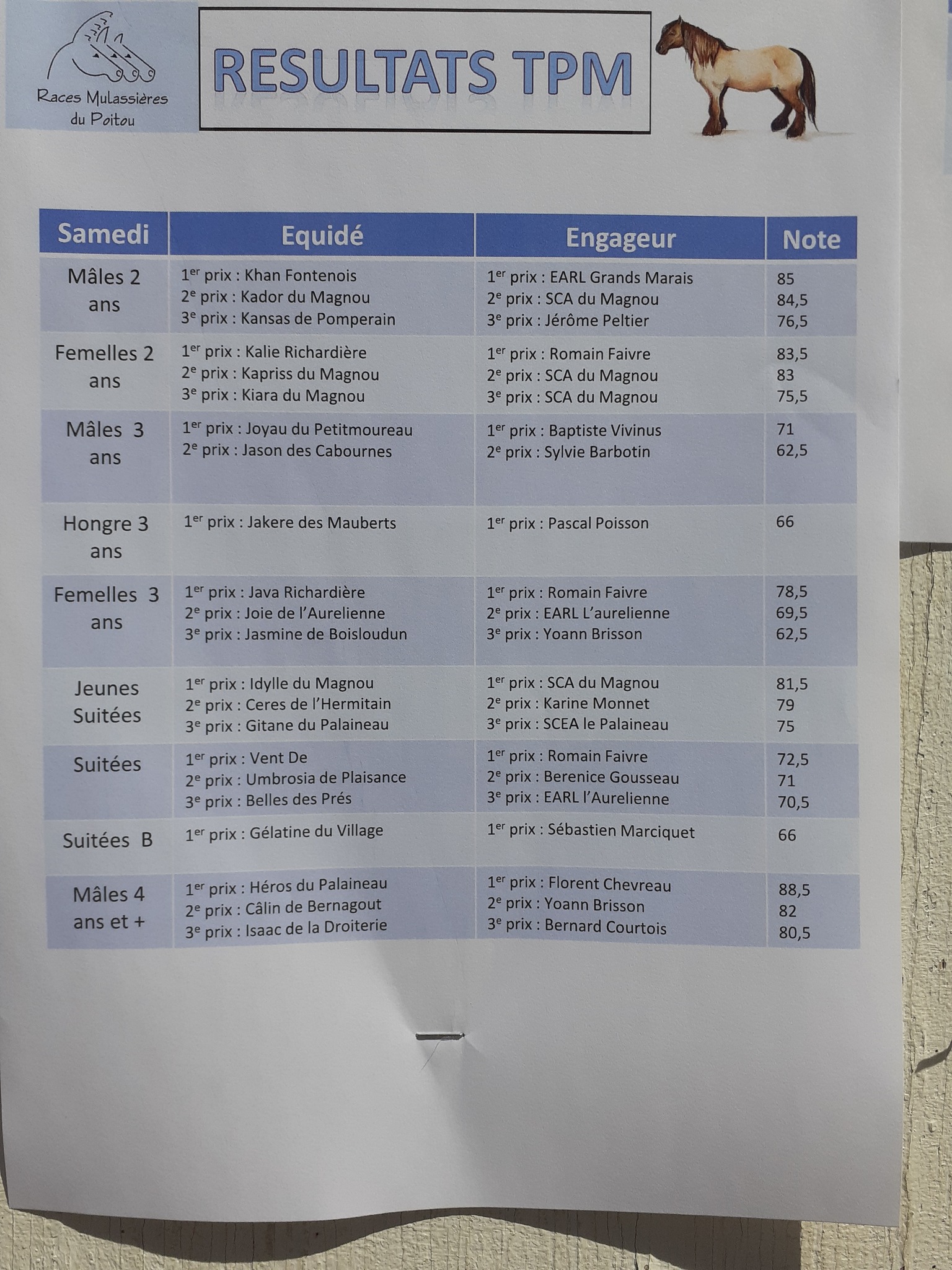 Résultats du concours national 2022  Races mulassieres du Poitou